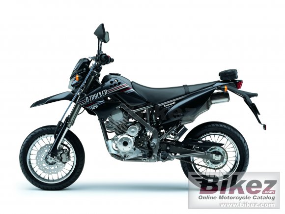 2010 Kawasaki KLX 125D photo